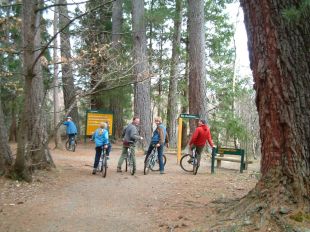 Next to Hanmer Forest